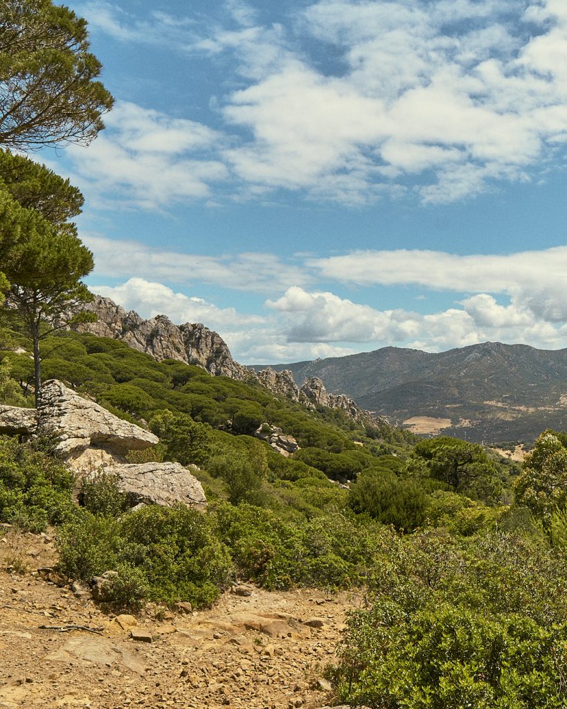 Sierra de San Bartolomé en Tarifa